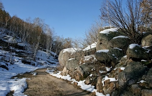 60.jpg