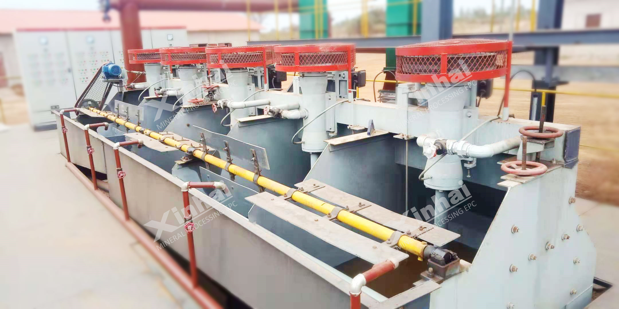 Spodumene Flotation Process