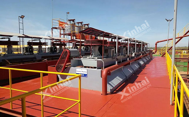 Spodumene Flotation Process