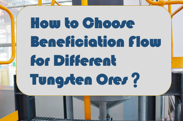 How to Choose Beneficiation Flow for Different Tungsten Ores？
